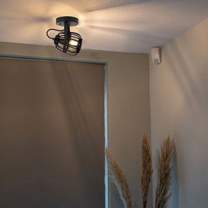 Chericoni Nature Trapeze Plafondspot 1-flammig in Schwarz