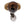 Chericoni Sylvie Deckenstrahler – 2-flammig – E14 – Bronze – Glas