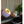 Various Sfera Tischlampe – Elegantes Design in Ø20 & Ø25 cm | Vielfältige Farben