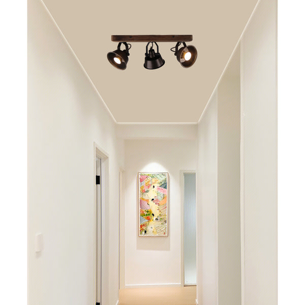 Moderne Deckenleuchte Max in Schwarz für eine ansprechende Atmosphäre. Ideal für den Einsatz im Wohn- oder Essbereich.